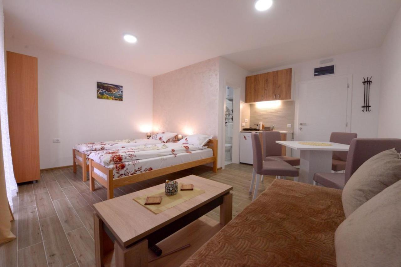 Apartment Rvovic *