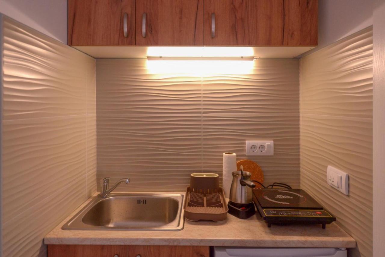 Rvovic Apartment *